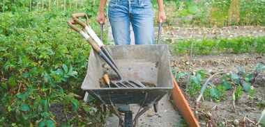 Green living – Preparing your vege patch