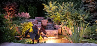 Creating a tranquil garden