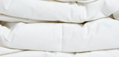Moth-proof blankets