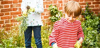 Controlling weeds