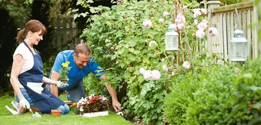 Garden design for small spaces