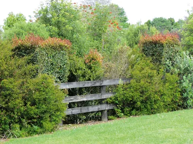 Creating garden borders