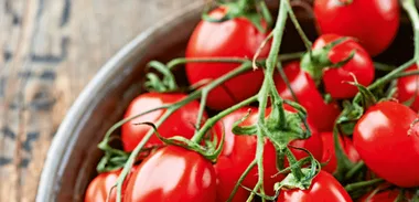 Growing Tomatoes