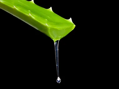 Homemade recipe: Aloe Vera baby moisturiser