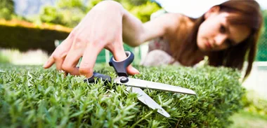 Gardening short cuts