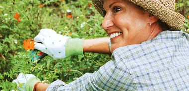 Help in the garden