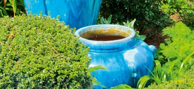 How to use junk pots in the garden