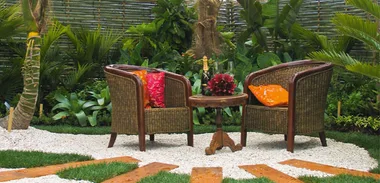 Creating a sustainable garden