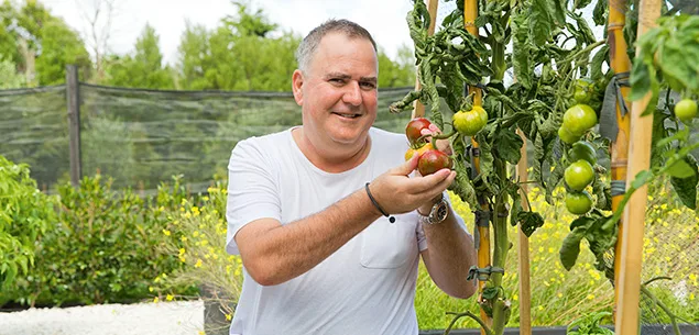 Simon Gault Tomatoes
