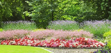 Ground-Covers