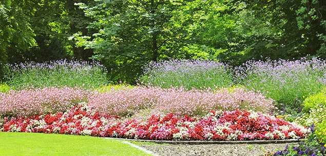 Ground-Covers