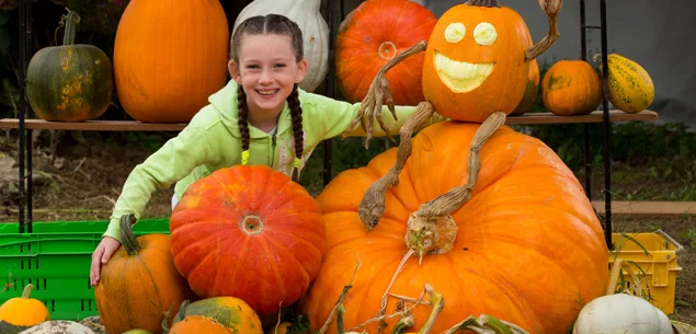 Grace Lusty pumpkin kid