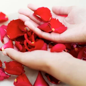 The language of perfume