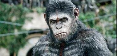 Dawn-of-the-Planet-of-the-apes