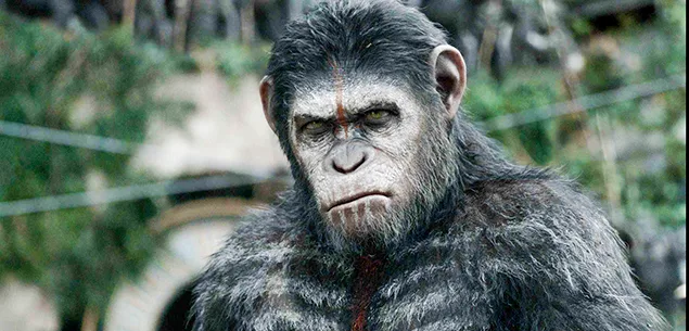 Dawn-of-the-Planet-of-the-apes