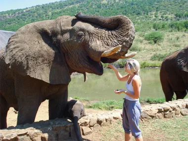 African adventure