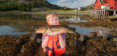 family, parenting, food, kids and food, fish