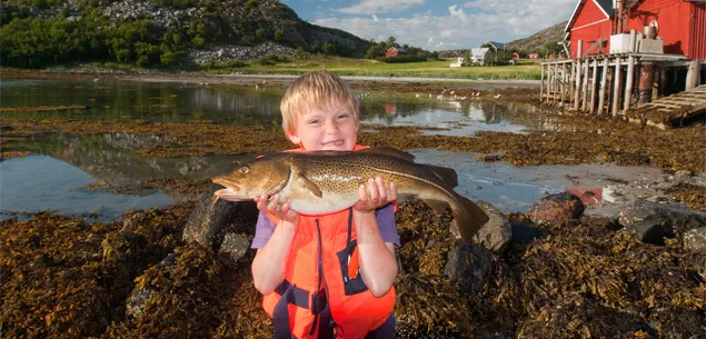 family, parenting, food, kids and food, fish