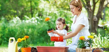 Family, parenting, parenting tips