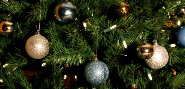 The Perfect Christmas Tree