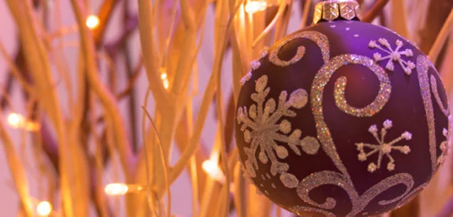 Christmas Lights - Indoor and Outdoor