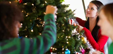 Christmas trees - fake or fir?