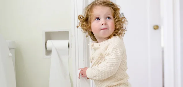 Toddler toilet training tips