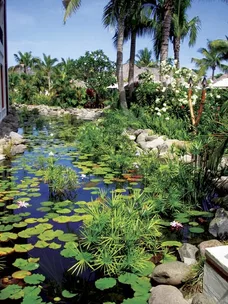 Fiji: Garden in paradise