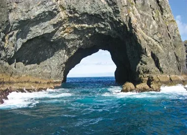 The great north