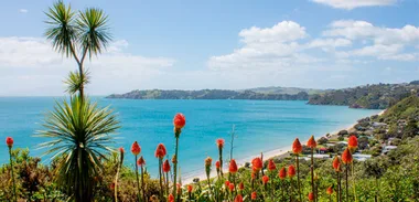 Auckland: city of substance