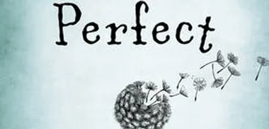 Book review: Perfect – Rachel Joyce