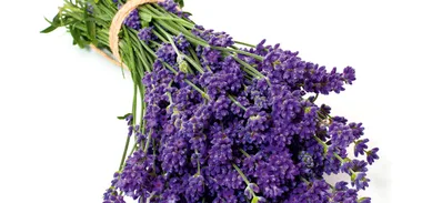 Simon Gault – Lavender syrup