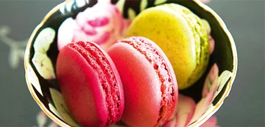 Simon Gault – Ganache
