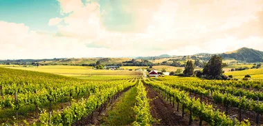 Kevin Milne – Misleading wine labels