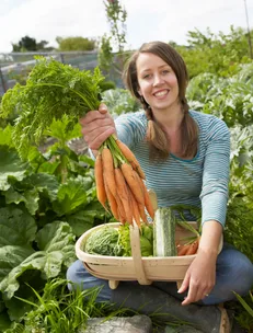 Carrots – the health benefits of a humble vegetable