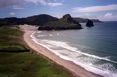 Great Barrier Island