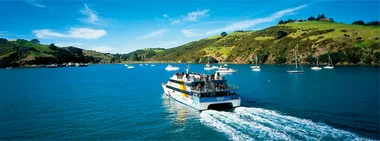 City Limits – Waiheke Island