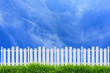 Kevin Milne: Boundary fences