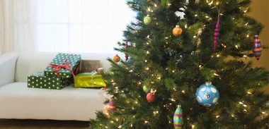 Kevin Milne: Christmas tree refunds