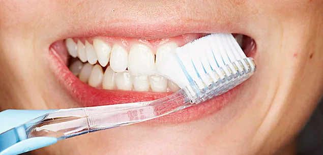 Teeth
