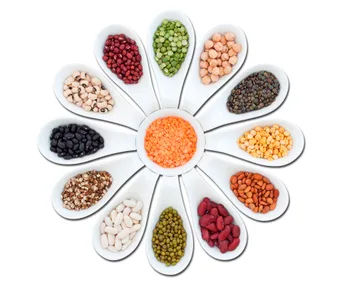 Lentils, legumes, beans and pulses