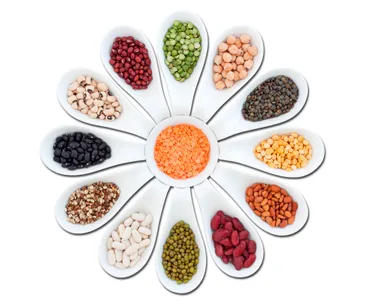 Lentils, legumes, beans and pulses