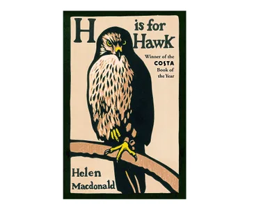 H is for Hawk by Helen Macdonald