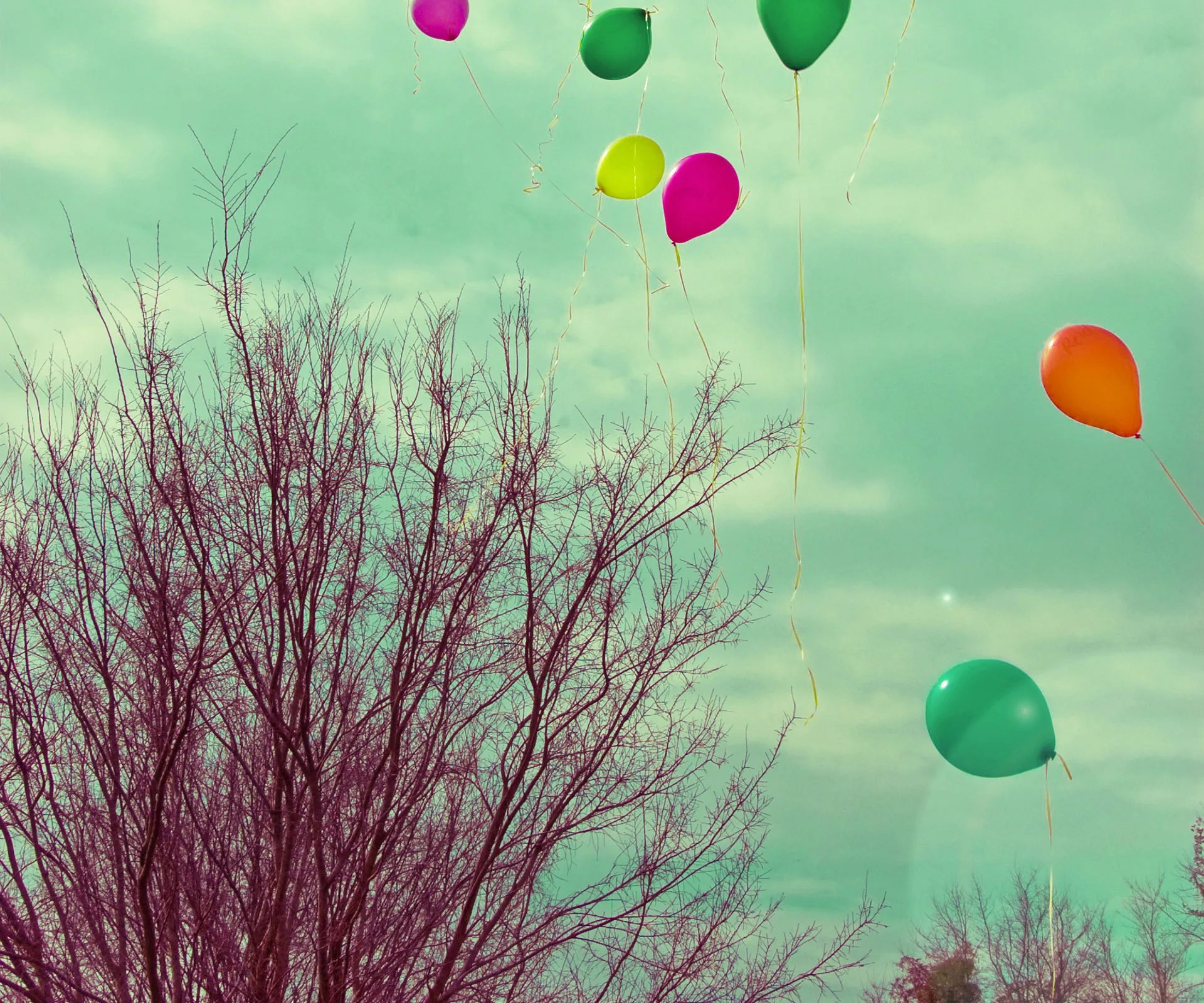 Jo Seagar reflects on saying goodbye. 