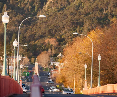 Te Aroha bridge