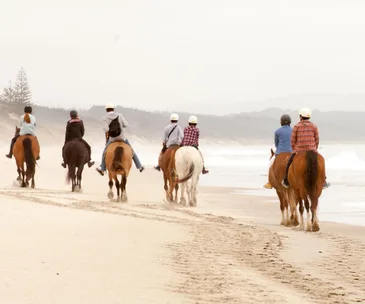 Horse trekking on Pakiri Beach, a 14km stretch of paradise in lower Northland.