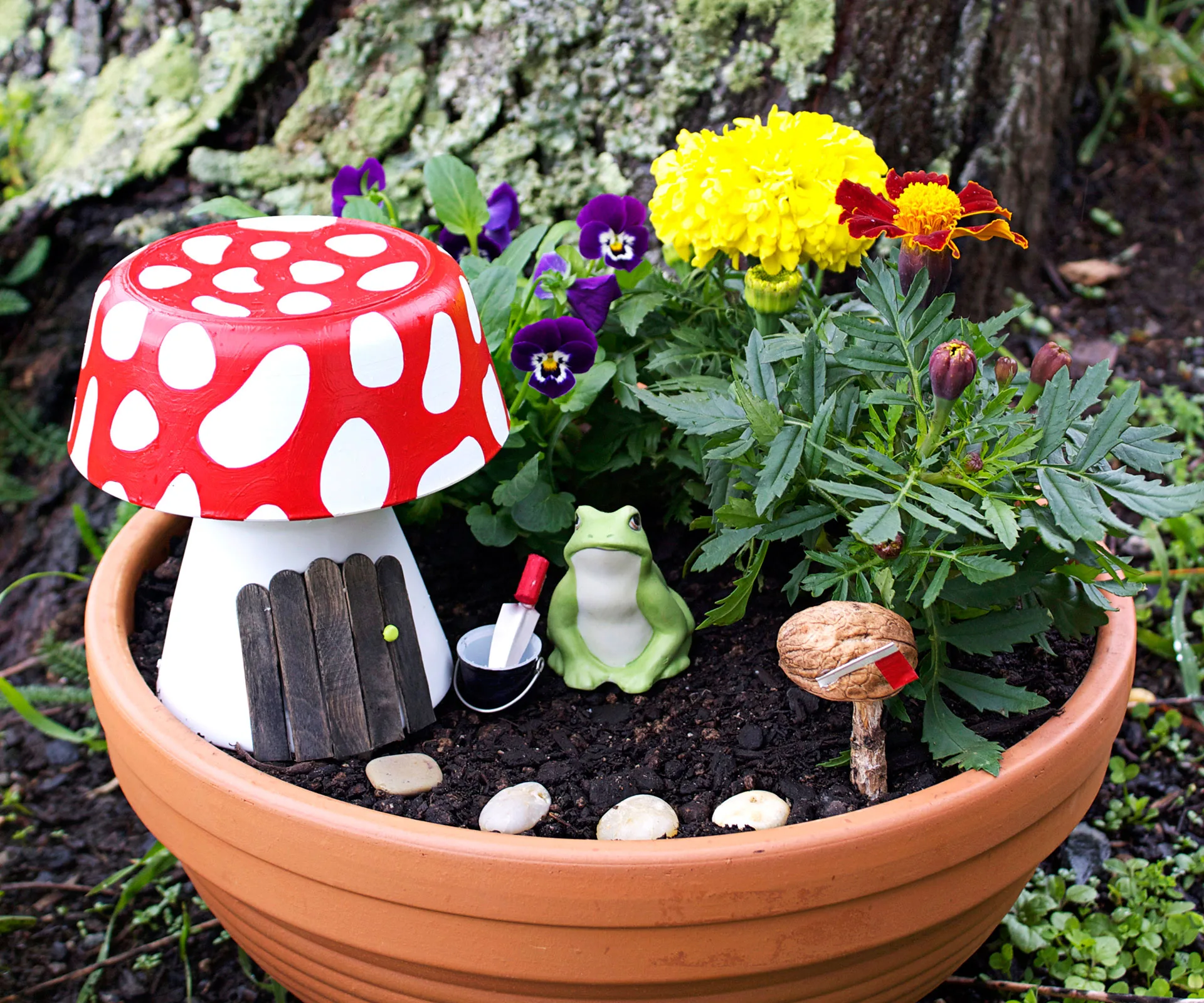 Fairy garden pot.