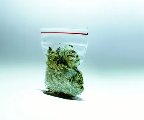 Fighting for the right to use medical cannabis for cancer patients