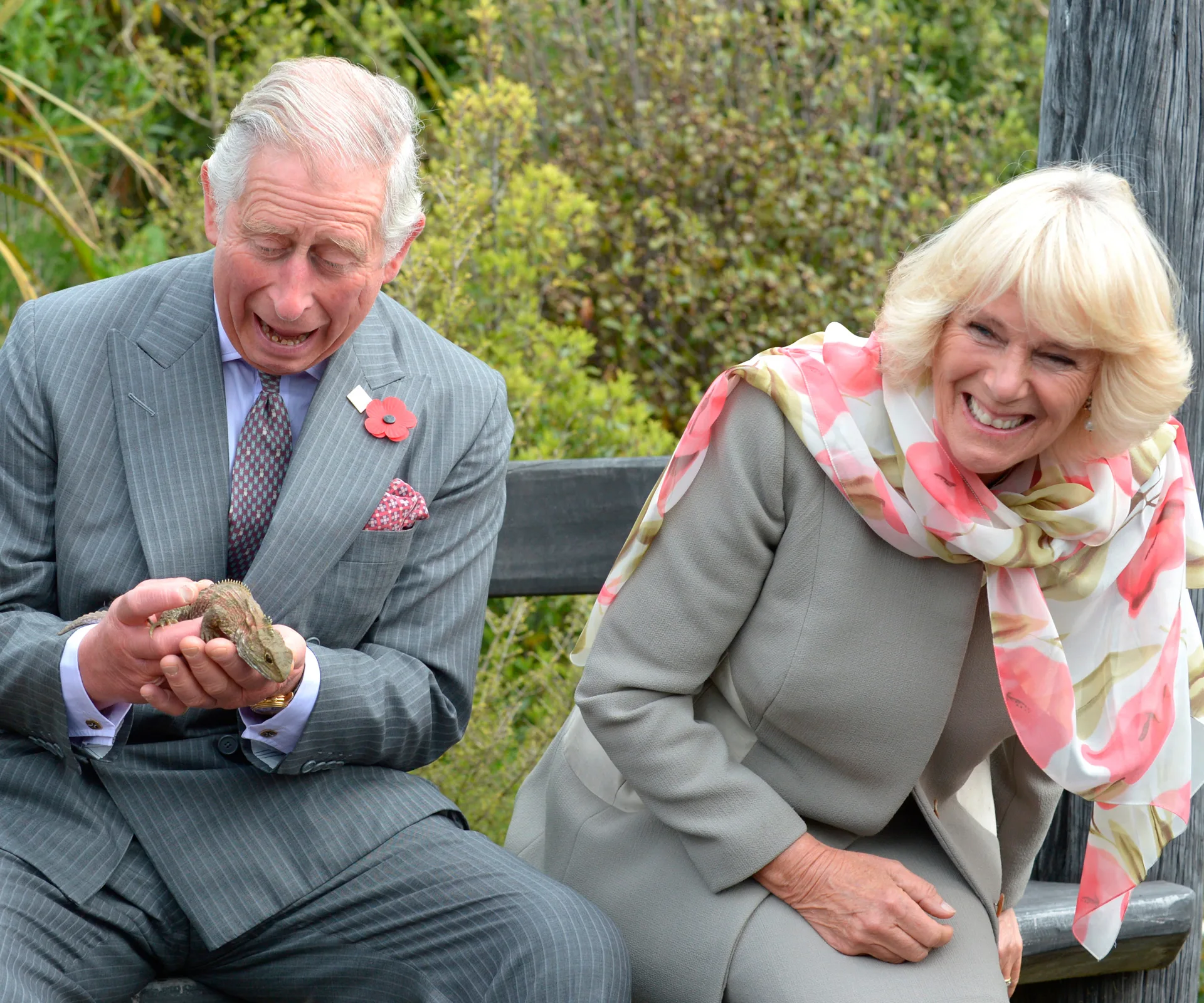 Charles and Camilla 