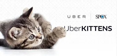 Uber service is the cat’s whiskers